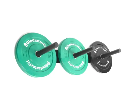 lacitesport.com - Gladiatorfit Rack de rangement mural en acier pour disques Ø 51mm