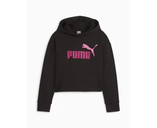 lacitesport.com - Puma ESS+2Col Sweat à capuche Enfant, Couleur: Noir, Taille: 6 ans (EU116)